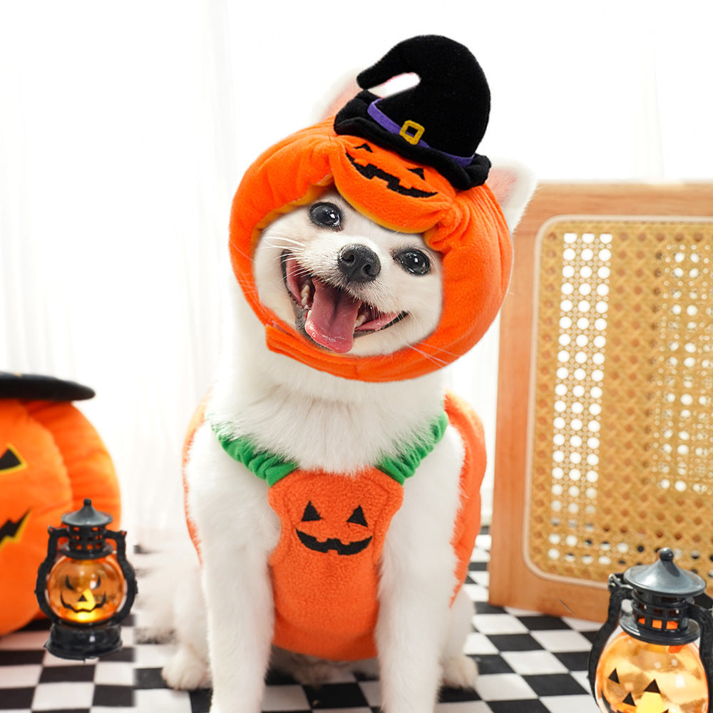 Pumpkin Pet Costume or Hat