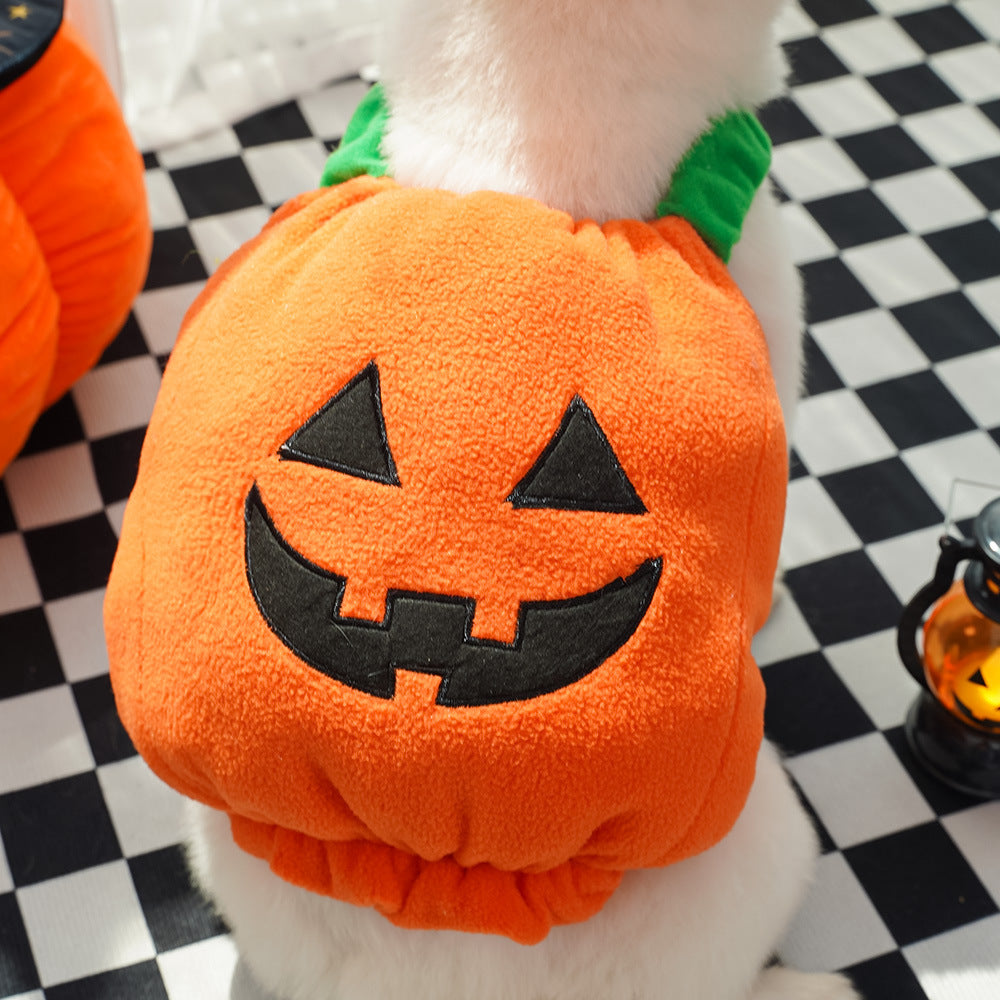 Pumpkin Pet Costume or Hat