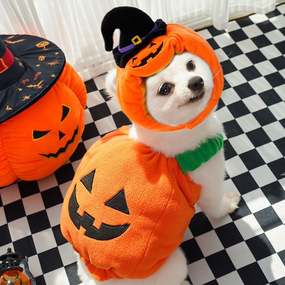 Pumpkin Pet Costume or Hat