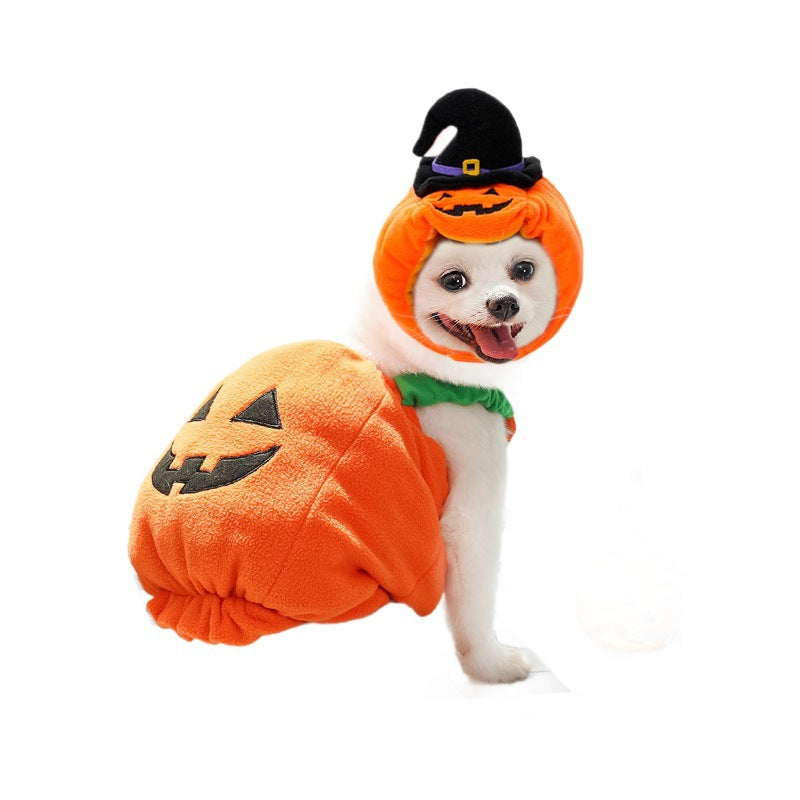 Pumpkin Pet Costume or Hat