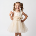 Caramel Dream Dress