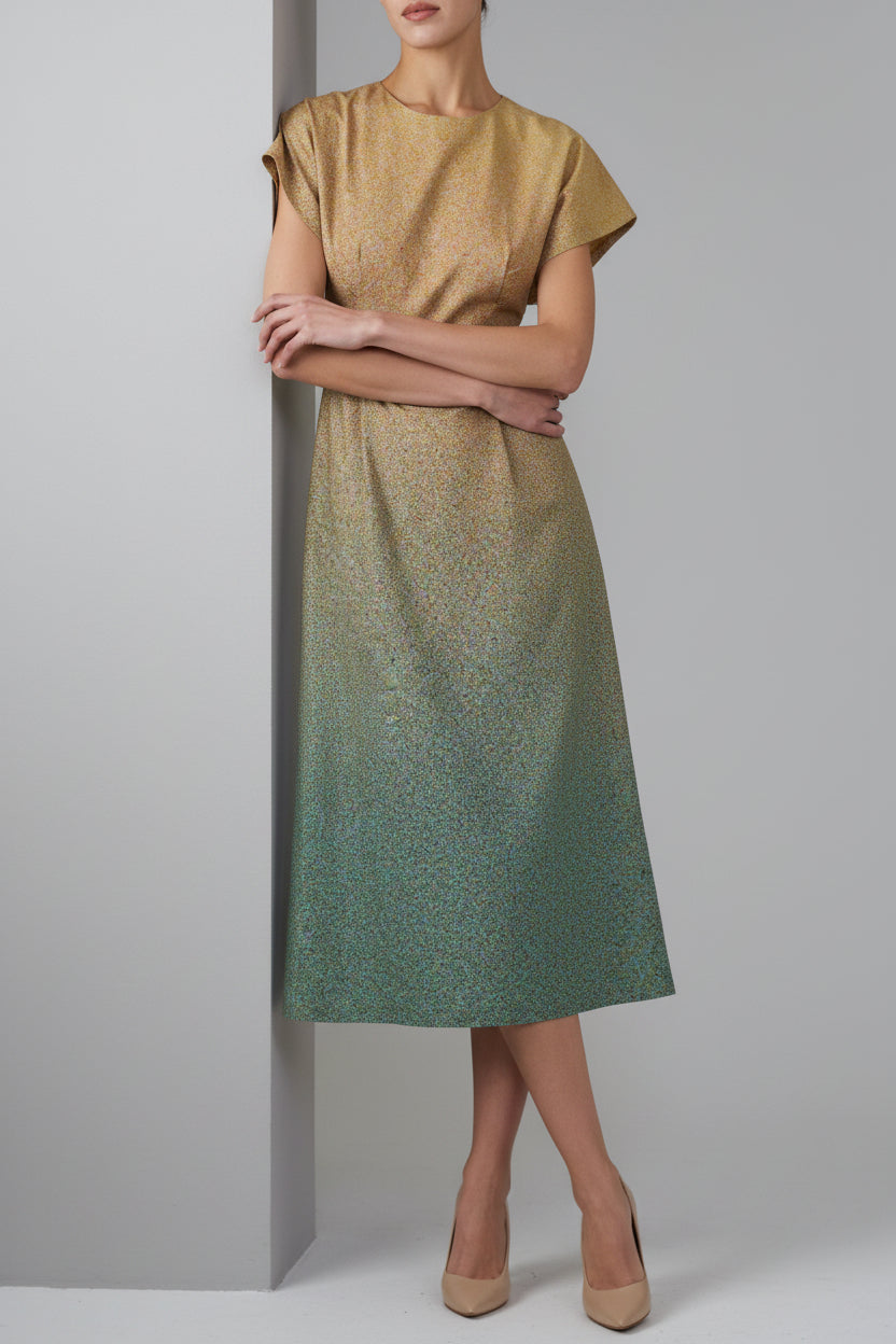 Film Grains Dress